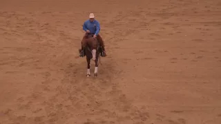 ARC Gunna Mark Ya ridden by Casey Deary - 2016 High Roller Reining Classic