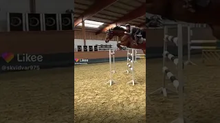 /конный спорт/ Эдит/🐴/