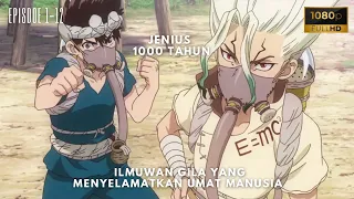 ALUR CERITA ANIME ILMUWAN GILA YANG MENYELAMATKAN MANUSIA DARI KUTUKAN MENJADI BATU !!