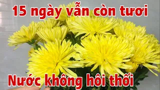 Bỏ túi ngay 2 bí quyết cắm hoa tươi cực lâu & nước không hôi thối .