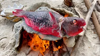 Rare PARROT Cooking On HOT ROCKS
