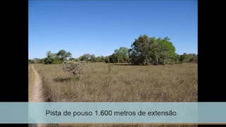 Fazenda à venda 28.450 Ha município Cocalinho - MT ( CRECI 778 - J)