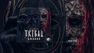 Damien Deshayes - Tribal Energy (Full Album) [World / Tribal]