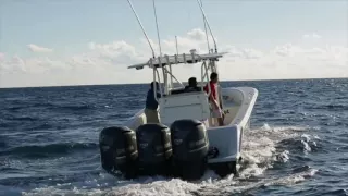 Season 2 Episode 10 | Dorado Fishing in Argentina’s Wetlands | 210