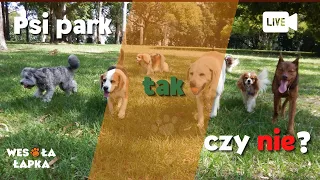 Psi park. Tak, czy nie?