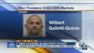 Man charged in machete attack