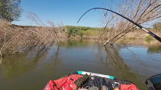 ЗАБРАЛСЯ В ПОДВОДНЫЙ ЛЕС! Это самое лучшее место на АХТУБЕ