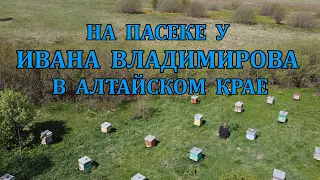 На пасеке у Ивана Владимирова в Алтайском крае 2024 4K