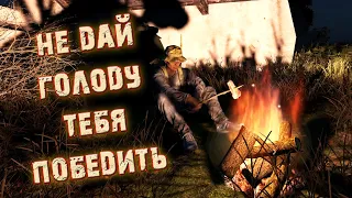 Dayz Гайд по ЕДЕ | Как ДОБЫТЬ ЕДУ и ВОДУ? | Как ВЫЖИТЬ новичку?