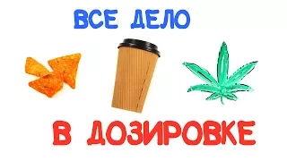 Все дело в дозировке [AsapSCIENCE]