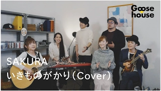 SAKURA／いきものがかり（Cover）