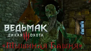 Ведьмак 3 "Мышиная башня". Прохождение задания со всеми духами и хорошей концовкой.