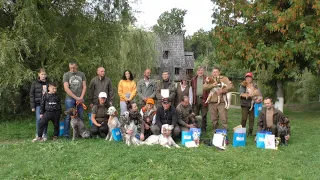 Змагання мисливських собак пройшли на Бродівщині