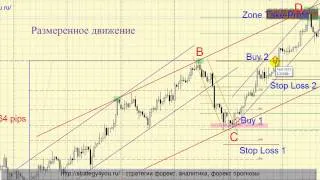 Стратегия форекс "Размеренное движение"