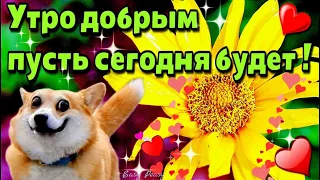 🌈🥀Доброе утречко хорошего дня!🌷💓Красивое музыкальное пожелание 💓