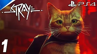 Stray PS4 Gameplay FULL GAME - Part 1