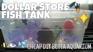 DOLLAR STORE FISH TANK - How to Make a Complete Betta Aquarium for Less Than $15