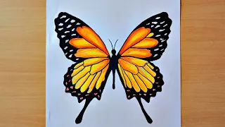 How to Draw Butterfly Easy || Butterfly Drawing Step by Step || Colour Drawing