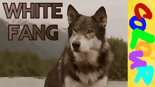 Learn English Through Story~White Fang~Level 3~English story for learning english with subtitles