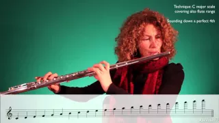Orchestration 102: The Wind Section - 4. The Flute Family