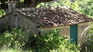 Le petit Cabanon sous le vieux Chêne