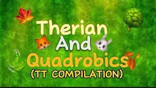 Therian & Quadrobics TikTok Compilation