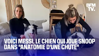 "Anatomie d'une chute": on a rencontré le chien Messi qui joue Snoop dans le film