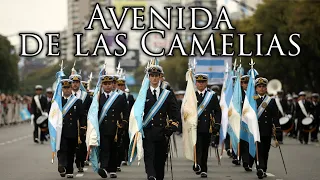 Argentinian March: Avenida de las Camelias - Avenue of Camellias