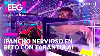 EEG 12 años:  Pancho Rodríguez nervioso con reto de tarántula  (HOY)
