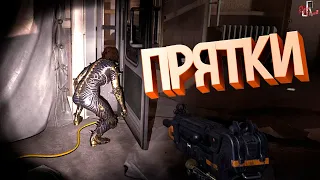 Прятки ( Wolfenstein YB / CS GO / GTA 5 / MW )