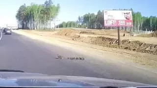 ДТП не случилось благодаря водителю