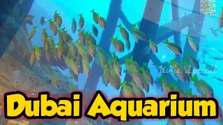 Dubai Aquarium & Underwater Zoo Tour|Trip to Dubai Aquarium Part-1|Dubai Mall| Uvi's Special