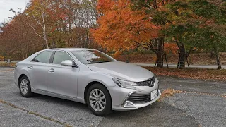 Toyota Mark X 2.5 V6 2020 Exterior and interior