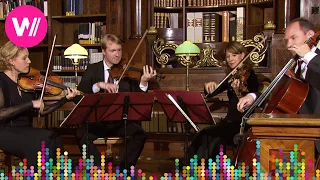 Mozart - Divertimento in B-flat Major, K. 137: II, Allegro di molto (Salzburg Mozart Quartet)