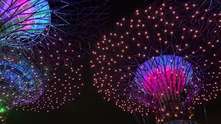 After light-show Supertrees