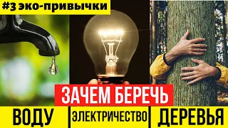 Мои эко привычки. Осознанное потребление и экономия природных ресурсов.