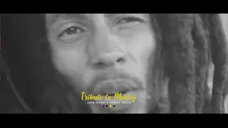 Jason Heerah & Otentik Groove Tribute to Marley