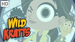 Wild Kratts ❓🔎 Who Is Martin Talking To? | Kids Videos