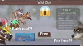 how to get free exclusive and,mystic and,wildclub stuff, all for free GLITCH( WildCraft)