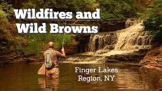 Amazing Dry Fly Takes - Fly Fishing the Finger Lakes Region, NY