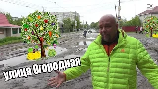 На дорогах Саратова можно разводить огороды - Эх, дороги...