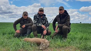 Lov na Srndaća sa gostom iz Slovenije 7x65R /Roebuck hunt with Slovenia guest and 7x65R | E169