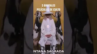 3 BRUTALES Películas de Culto Que debes Ver Hoy mismo!