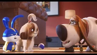 The Secret Life Of Pets 2 | The Final Trailer