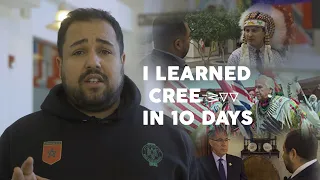 10 Days of Cree an Investigative Report