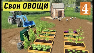 Farming Simulator 19 - НЕБОЛЬШОЙ ОГОРОДИК С ОВОЩАМИ - Фермер в с. ВАРВАРОВКА # 4
