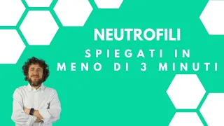 Neutrofili alti e bassi: cause e quando preoccuparsi