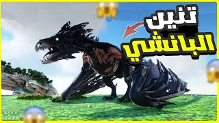 ارك أوليمبوس | وين متجر عمر ؟؟! ترويض تنين البانشي الاسطوري🔥 | 14# ARK Olympus