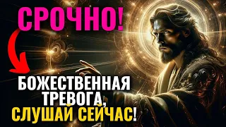 🔴СРОЧНО! ОСТАЛОСЬ 7 ЧАСОВ ДЛЯ ИСПОЛНЕНИЯ ПРОРОЧЕСТВА! НЕ ИГНОРИРУЙТЕ ЭТО! 🕊️ #словаангелов