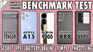 Pixel 6 Pro vs iPhone 13 Pro Max vs Huawei P50 Pro vs S21 Ultra vs Vivo X70 Pro Plus Benchmark Test